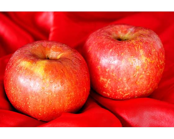 China Fuji Apple
