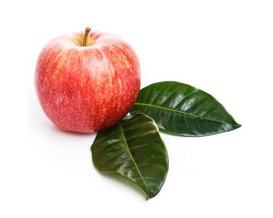 USA Rose Apple