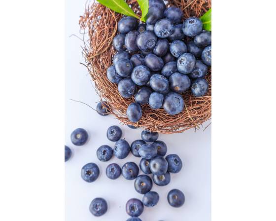 Zimbabwe Blueberry (Jumbo)