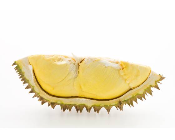 Johor D13 Durian
