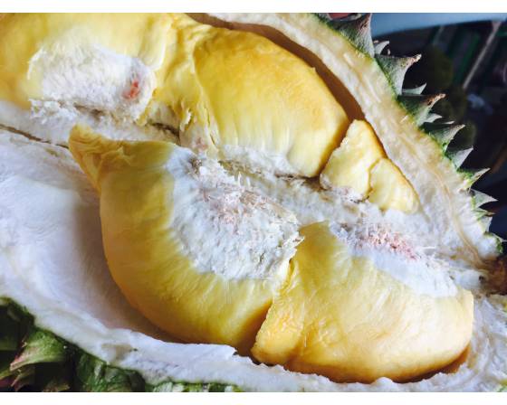 Malaysia Butter King Durian