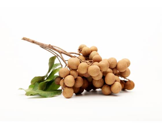 Thailand Organic Longan