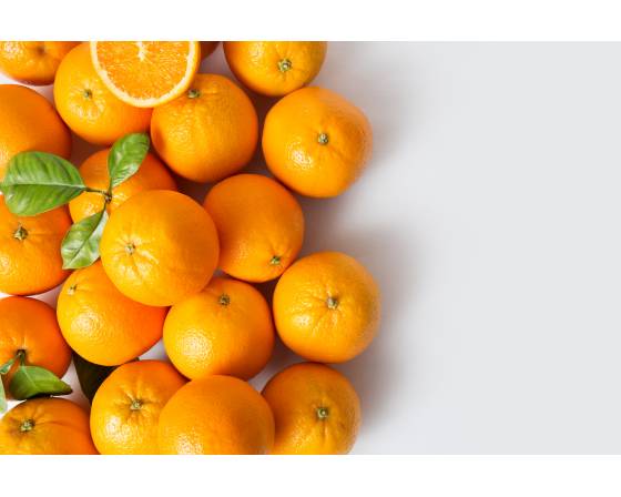 Sukura Mikan Orange (Japan Breed)