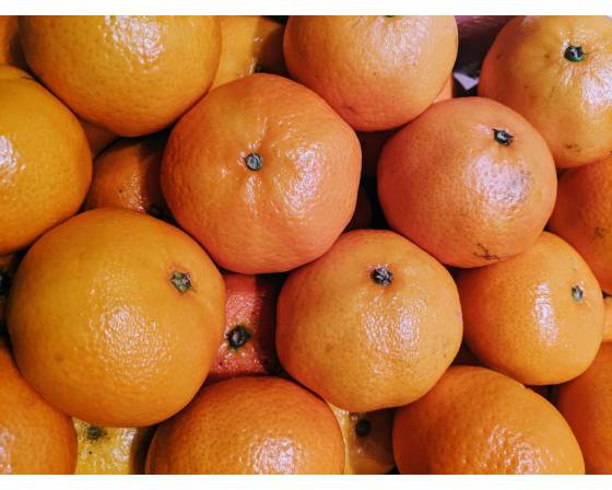 Taiwan Tong Gan Mandarin Orange
