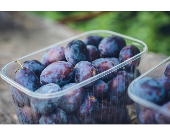 China Sugar Sprune