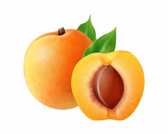 Turkiye Apricots