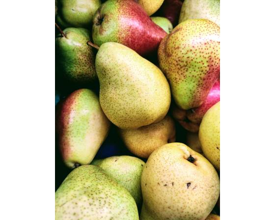 China Golden Pear