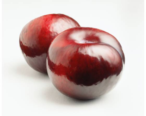Spain Plum