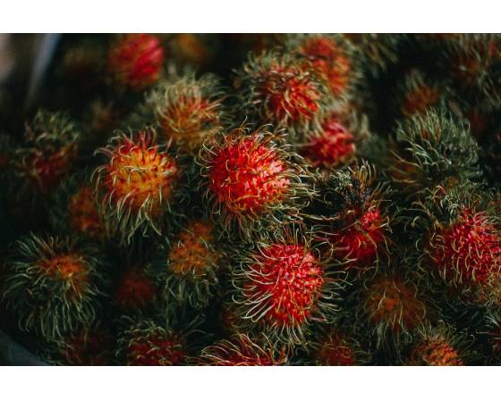 Thailand Rambutan